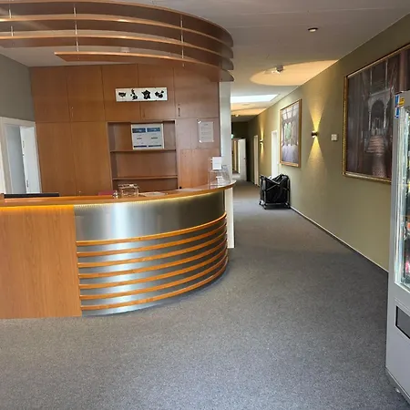 Pallas Hotel 3*